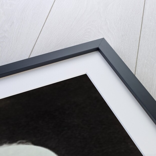 William Cullen Bryant by Anonymous