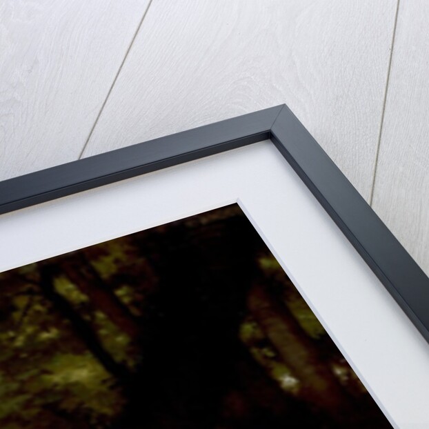 Biblis by William Adolphe Bouguereau