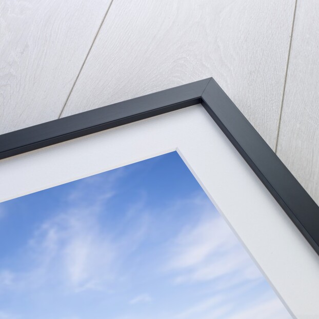 Tuscan landscape by Anonymous