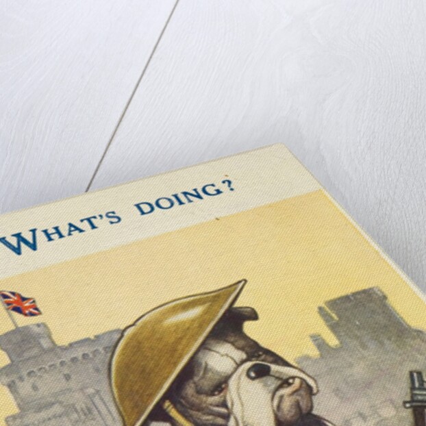 The bulldog spirit by Anonymous