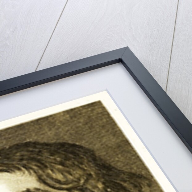 Engraving in a physiognomy book by Anonymous