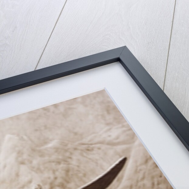 The Glory of Aviation by Anonymous