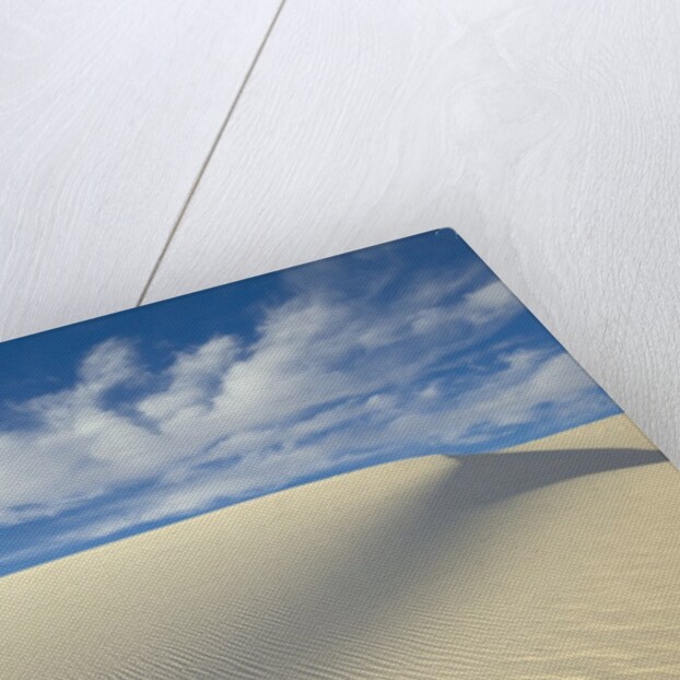 Dune in White Sands National Monument by Anonymous