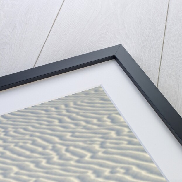 Sand in White Sands National Monument by Anonymous