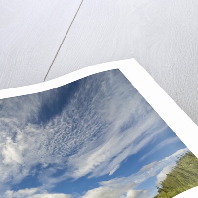 Cumulus and cirrus clouds above mountains by Anonymous