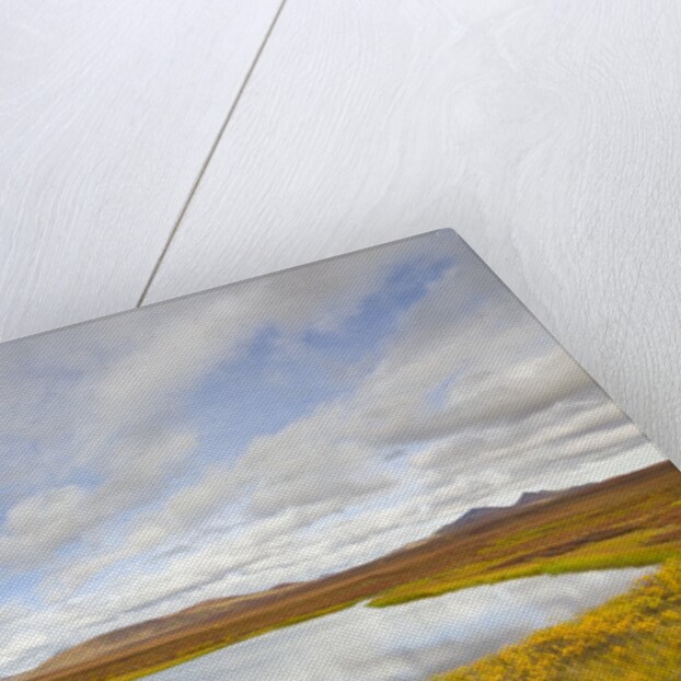 Pond and tundra in Yukon Territory by Anonymous