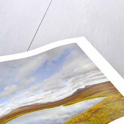 Pond and tundra in Yukon Territory by Anonymous