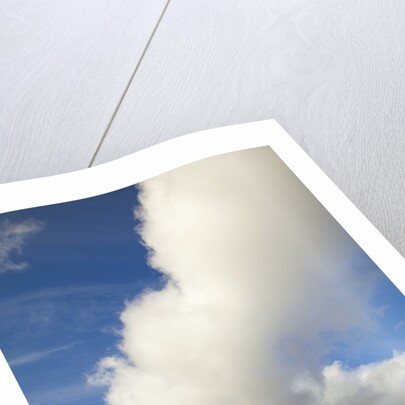 Cumulus clouds above tundra in Yukon Territory by Anonymous