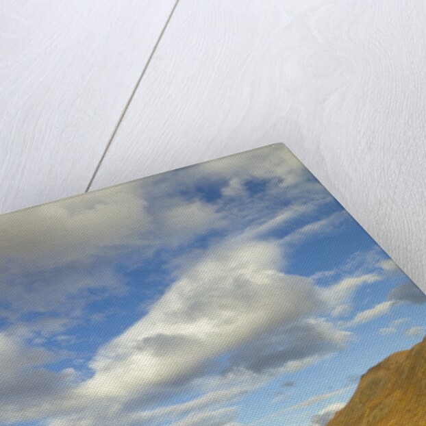 Cumulus clouds above tundra and mountains in Denali National Park by Anonymous