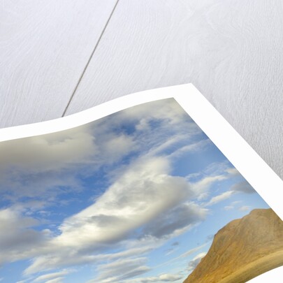 Cumulus clouds above tundra and mountains in Denali National Park by Anonymous