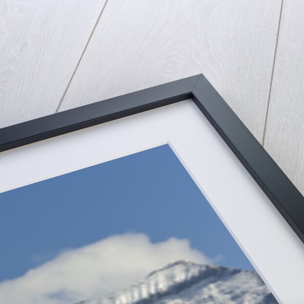 Mt. Robson by Anonymous