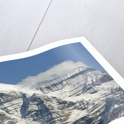 Mt. Robson by Anonymous