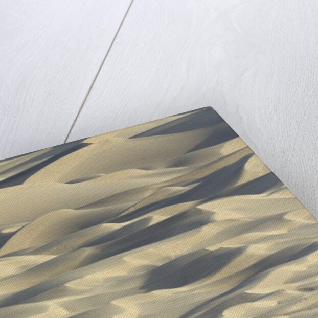 Sand dunes in Death Valley National Park by Anonymous