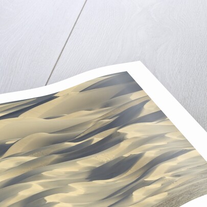 Sand dunes in Death Valley National Park by Anonymous