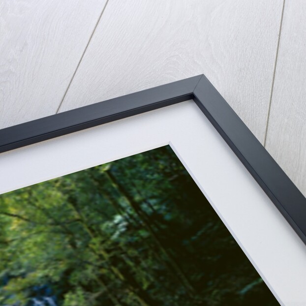 The many tiered Nelson Falls and lush rainforest located in the Franklin-Gordon Wild Rivers National Park, Tasmania. by Anonymous