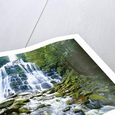 The many tiered Nelson Falls and lush rainforest located in the Franklin-Gordon Wild Rivers National Park, Tasmania. by Anonymous