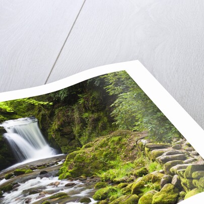 Geroldsauer Waterfall in Grobbach Valley in the Black Forest by Anonymous