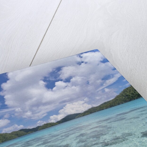 Indonesian island by Anonymous
