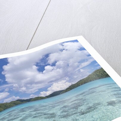 Indonesian island by Anonymous