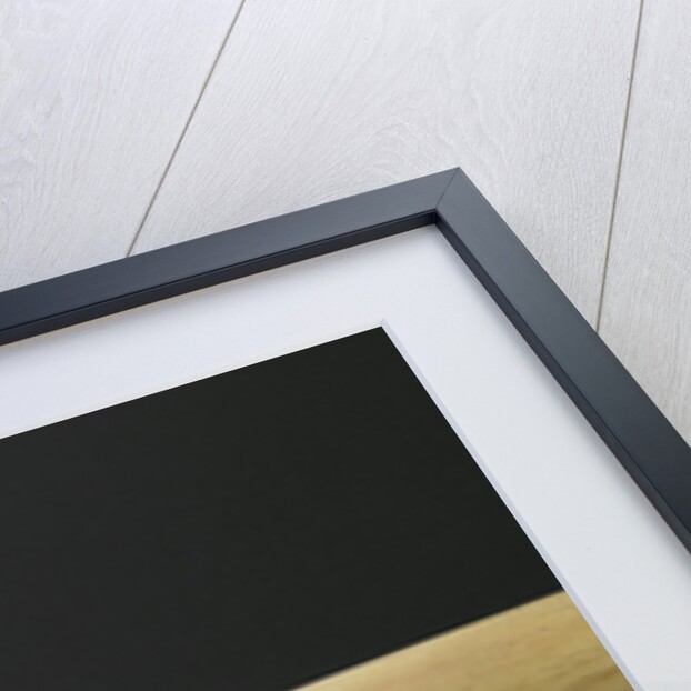 Directly-above view of a bat and a ball in a row by Anonymous