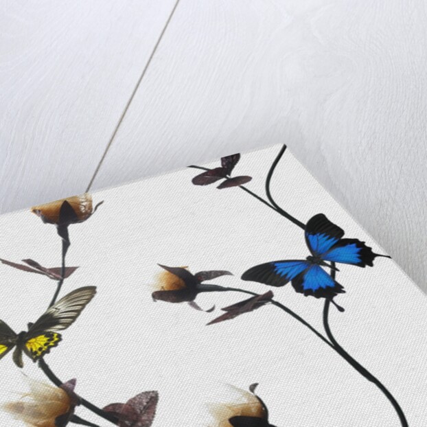 Butterflies with flowers by Anonymous