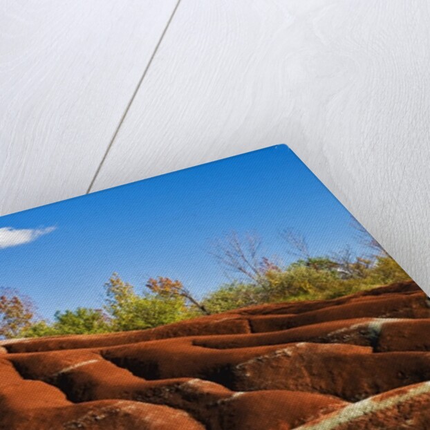 Cheltenham Badlands near Inglewood, Ontario by Anonymous