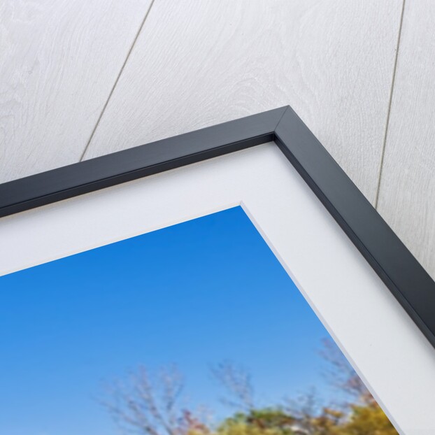 Cheltenham Badlands near Inglewood, Ontario by Anonymous