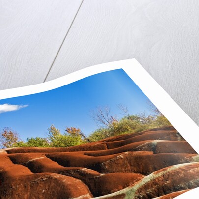 Cheltenham Badlands near Inglewood, Ontario by Anonymous