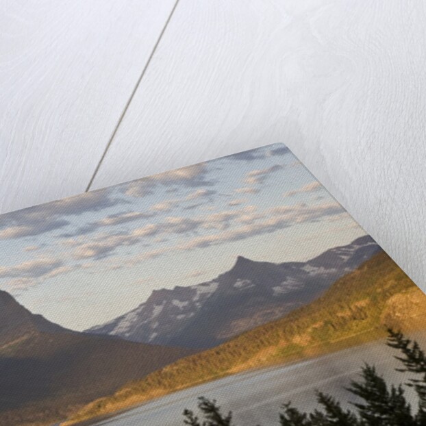 Wild Goose Island at sunrise St. Mary Lake, Glacier National Park, Montana. by Anonymous