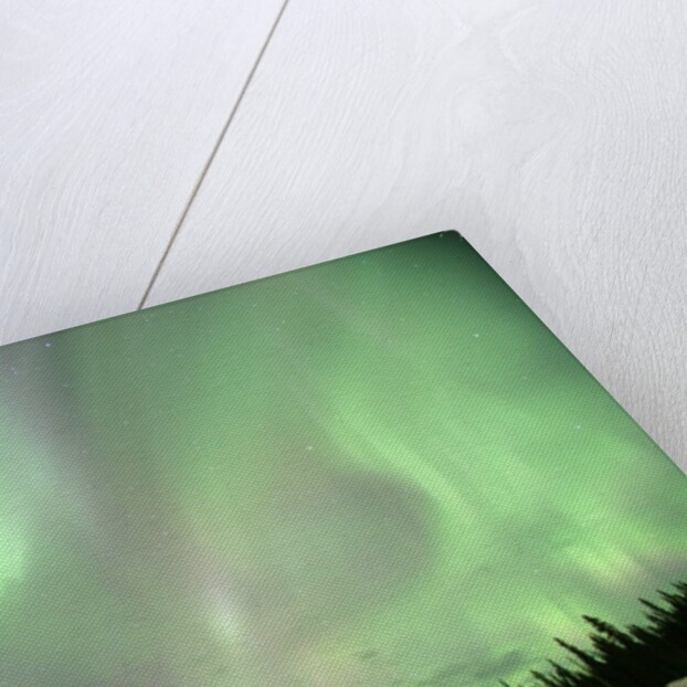 Aurora Borealis or Northern Lights, Yukon. by Anonymous