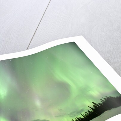 Aurora Borealis or Northern Lights, Yukon. by Anonymous