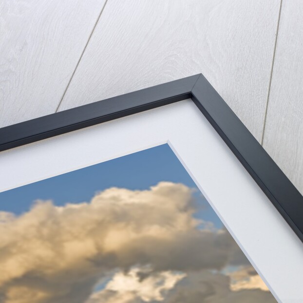 Barn and cumulonimbus cloud mass near Bromhead, Saskatchewan, Canada by Anonymous