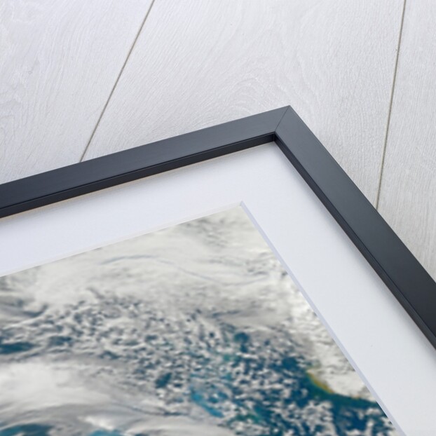 Phytoplankton Bloom in the Barents Sea by Anonymous