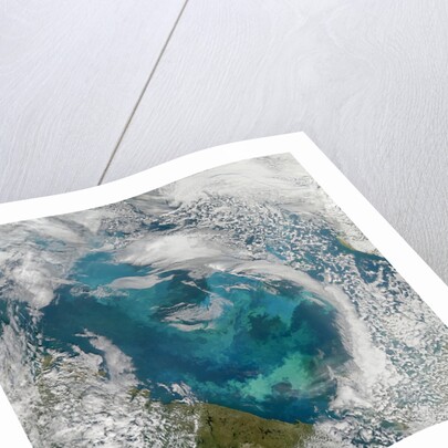 Phytoplankton Bloom in the Barents Sea by Anonymous