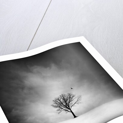 Solitary tree in a winter landscape by Anonymous