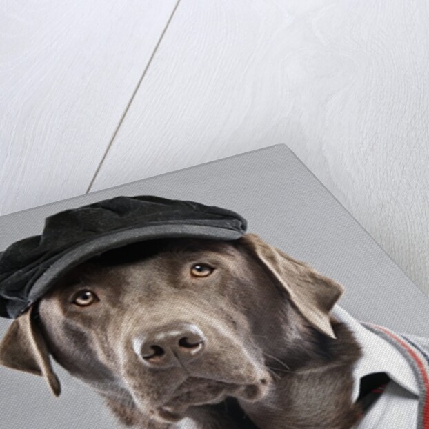 Dog in sweater and cap by Anonymous
