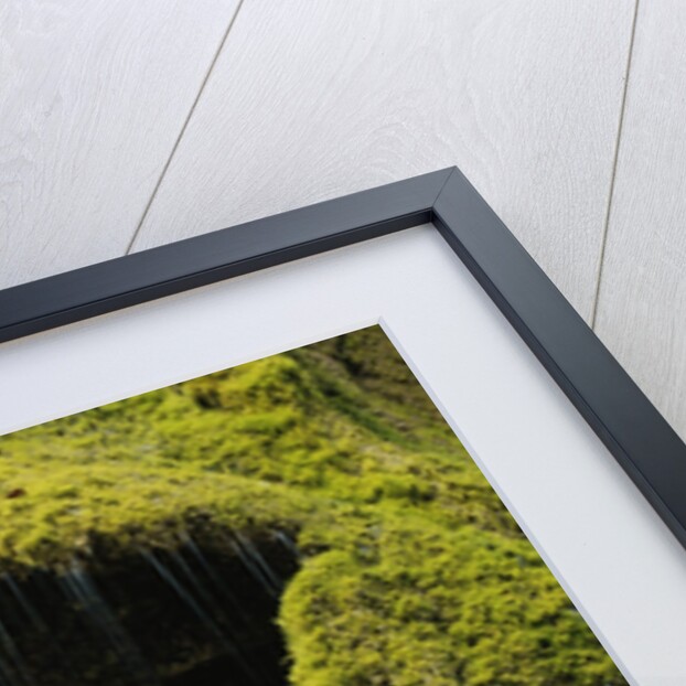 A moss covered waterfall in the Bavarian Allg?u by Anonymous