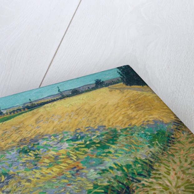 Wheatfield by Vincent Van Gogh