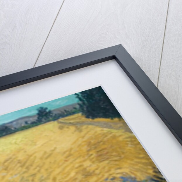 Wheatfield by Vincent Van Gogh