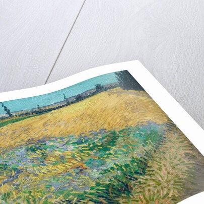 Wheatfield by Vincent Van Gogh