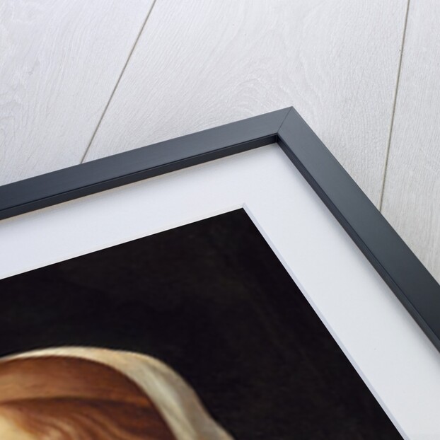 Portrait of a Young Woman by Domenico Ghirlandaio