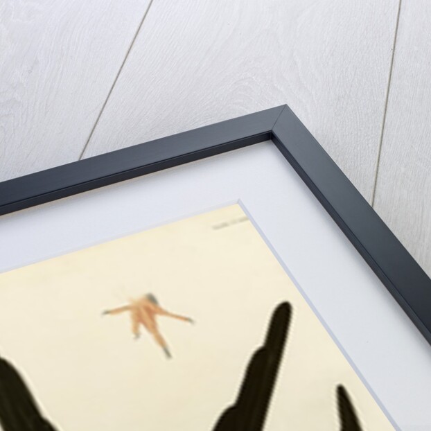 Frigate Pelican by John James Audubon