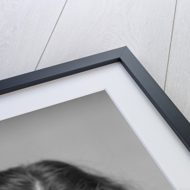 Young brunette woman with surprised expression hand to head talking on telephone by Anonymous
