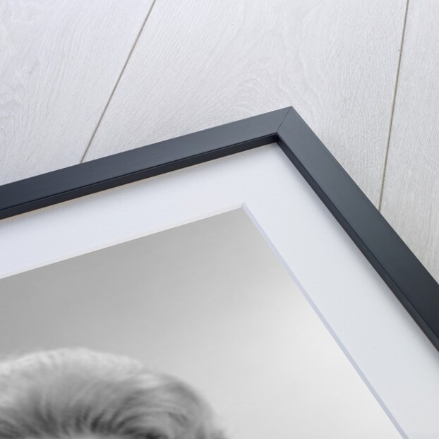 Portrait smiling mature woman talking on telephone by Anonymous