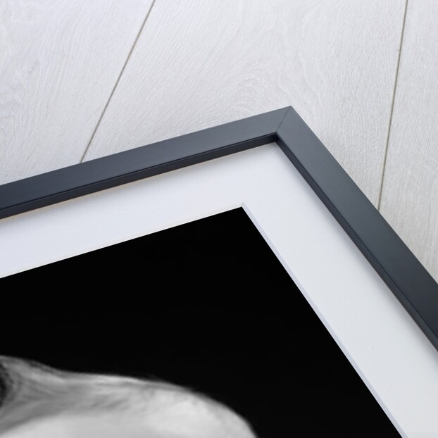 Portrait of baby covering mouth with hands fingers by Anonymous