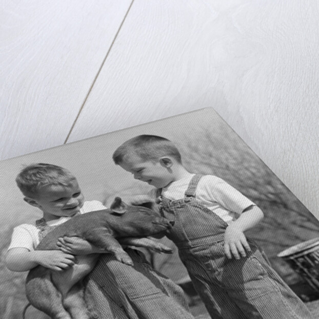 Boys in striped overalls holding piglet by Anonymous