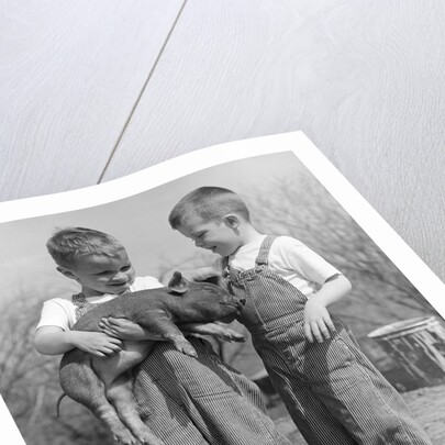 Boys in striped overalls holding piglet by Anonymous