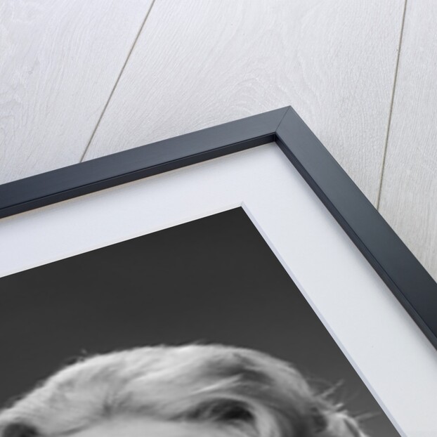 Woman clasped hand by chin with wishful hoping happy joyful facial expression by Anonymous