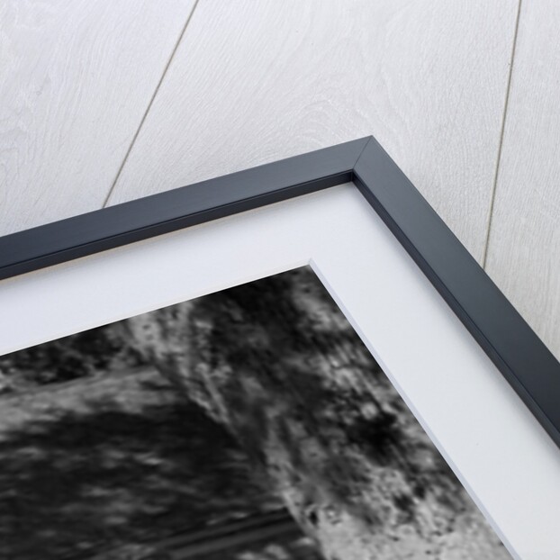 Two women talking in yard one holding garden hoe the other holds basket with flowers by Anonymous