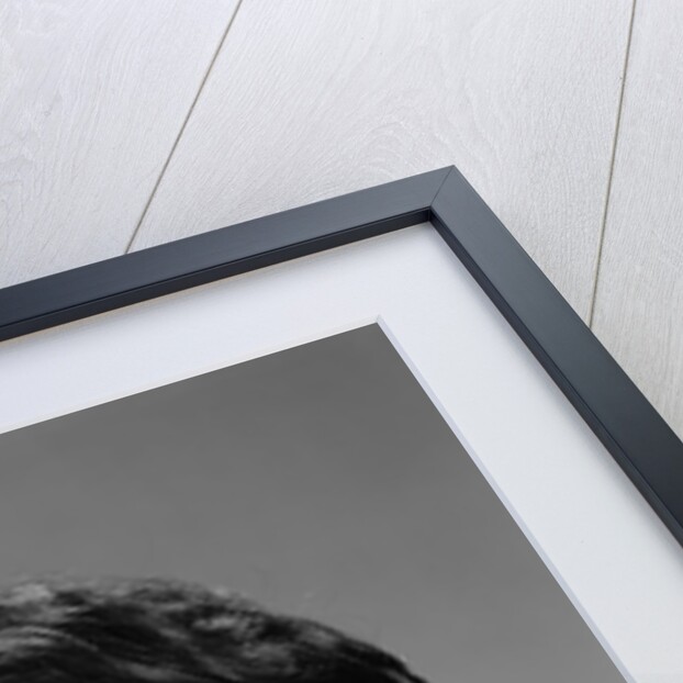 Portrait brunette wearing dark thick round eyeglasses with eyes wide open by Anonymous